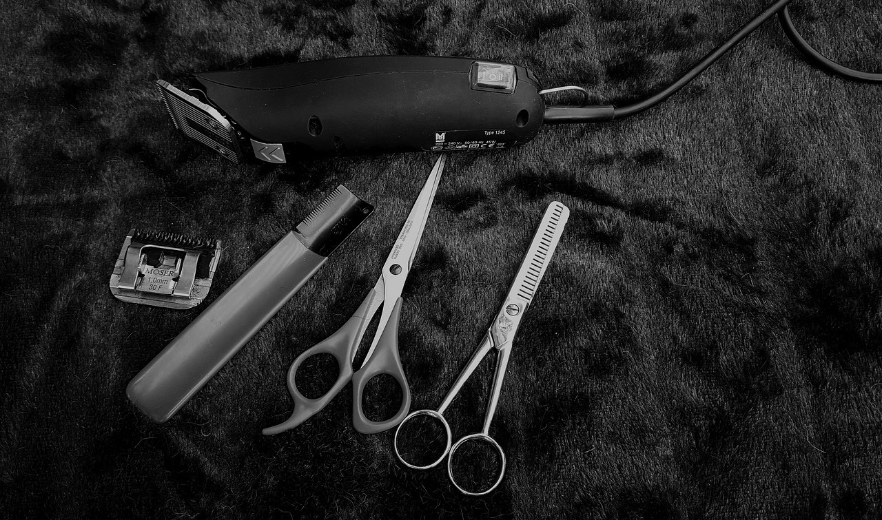 cut dog hair tools